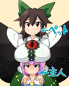 __komeiji_satori_and_reiuji_utsuho_touhou_drawn_by