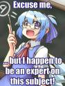 cirno-expert