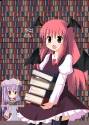 voile_library