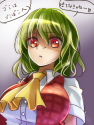 __kazami_yuuka_touhou_drawn_by_shironeko_yuuki__ab