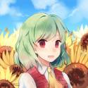 __kazami_yuuka_touhou_drawn_by_yorktown_cv_5__samp