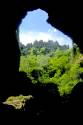 cave_exit_forest