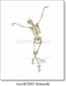 a-skeleton-takes-a-graceful-pose