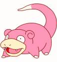 slowpoke-rs