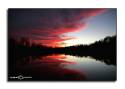 blood_red_sky