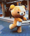 _dancing kuma