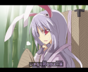 __reisen_udongein_inaba_forbidden_scrollery_and_to