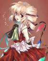 flandre (85)