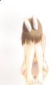 yue sad
