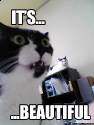 its-beautiful