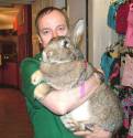 large bunny