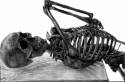 skeleton
