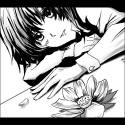 black lotus