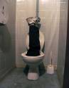 toilet_foot
