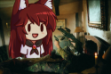 kagerou dog soldiers