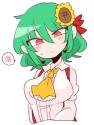 __kazami_yuuka_touhou_drawn_by_op_na_yarou__sample