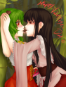 __kazami_yuuka_and_houraisan_kaguya_touhou_drawn_b