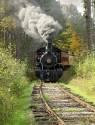 train1